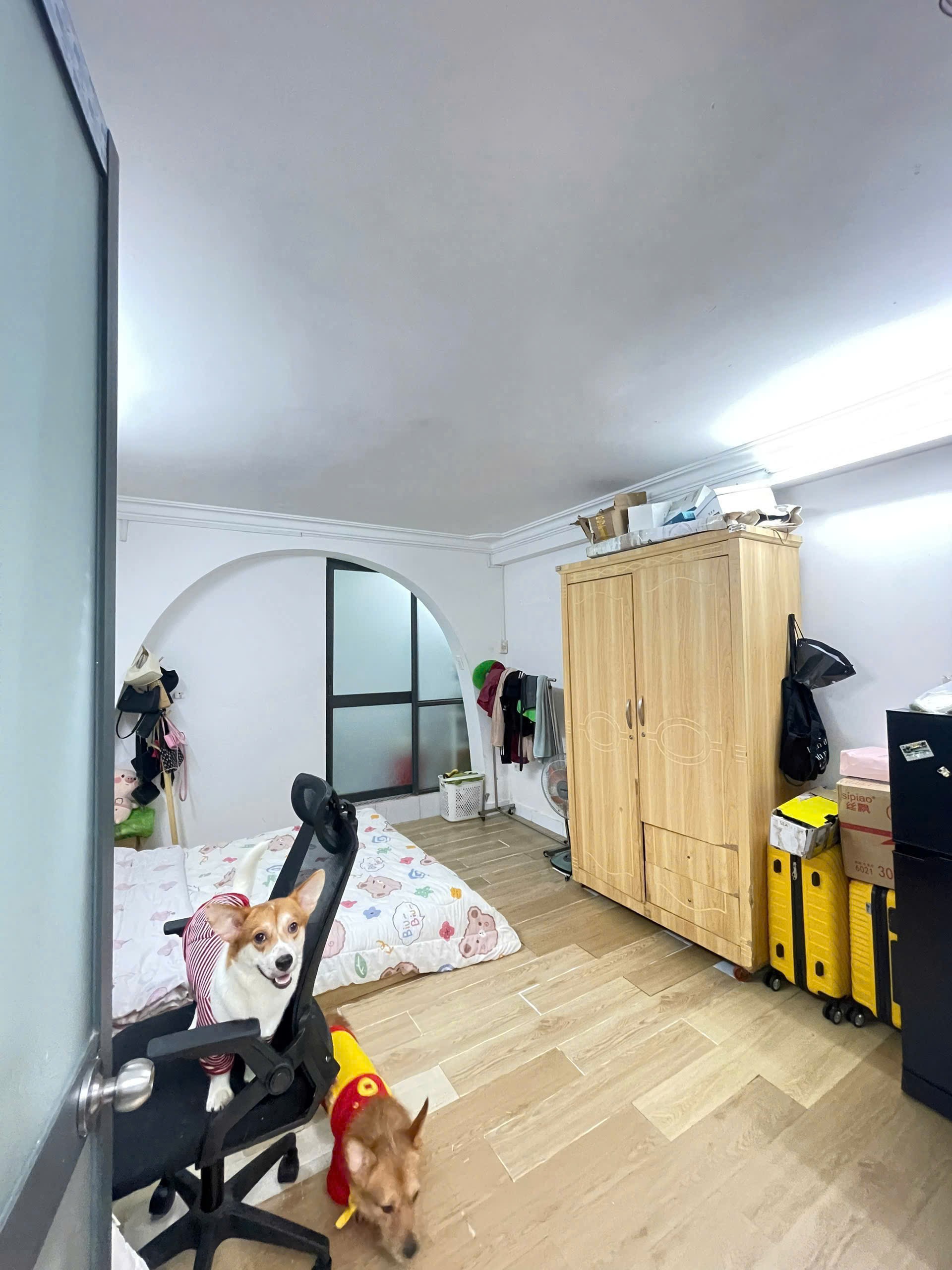 Căn hộ mini có nội thất 20m² - Bình Thạnh, TP.HCM