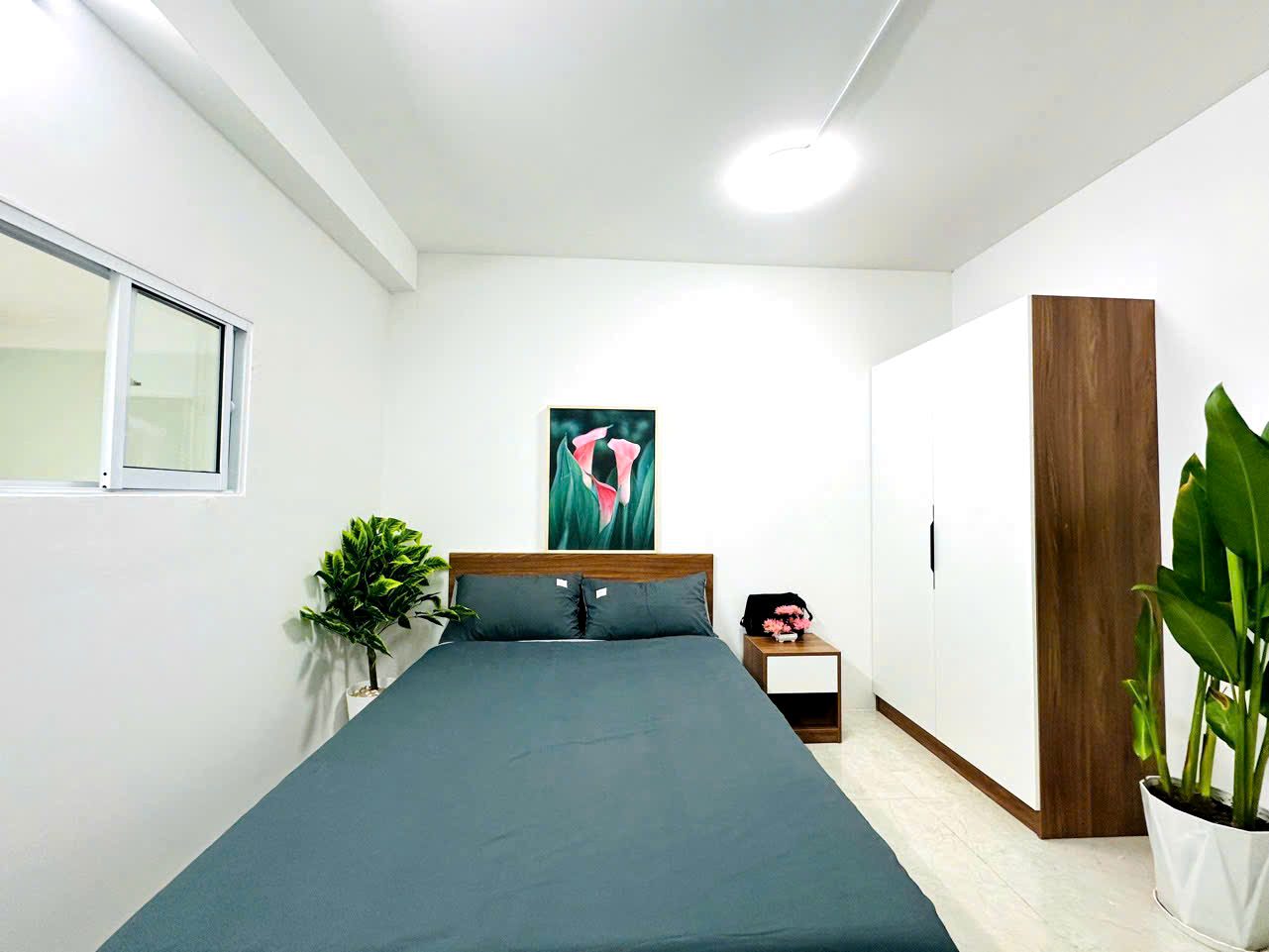 Căn hộ mini có nội thất 20m² - Tân Bình, TP.HCM